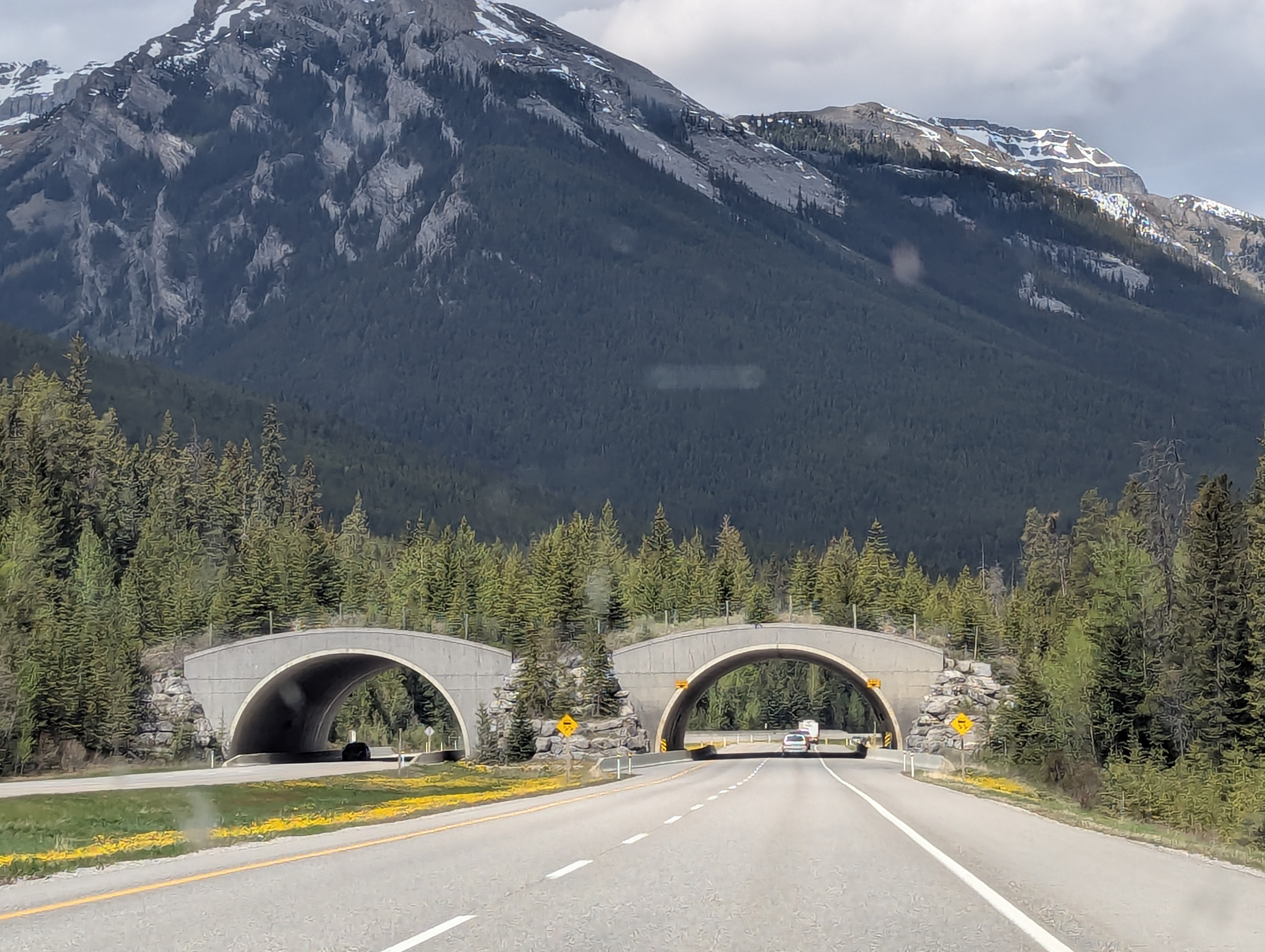 Birthday Trip to Canada, Canadian Rockies